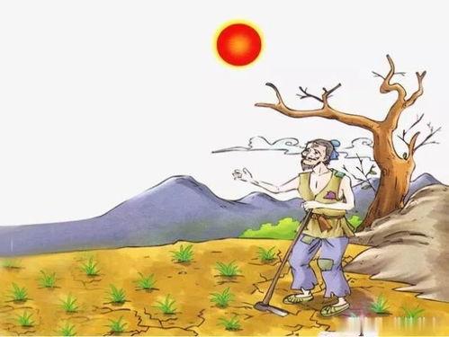 锄禾日当午视频,农耕生活的真实写照