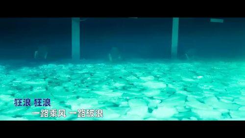 狂浪视频,惊涛骇浪中的视觉盛宴