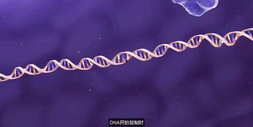 关于生物的视频,生物视频深度解析