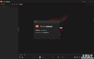 大华视频播放器