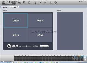 大华视频播放器