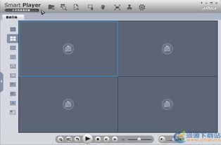 大华视频播放器