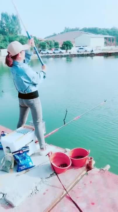 抛竿视频,捕捉钓鱼技巧与乐趣