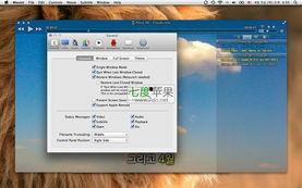 mac视频下载软件,探索高效便捷的视频下载软件