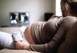 看怀孕的视频,视频记录的孕育之旅