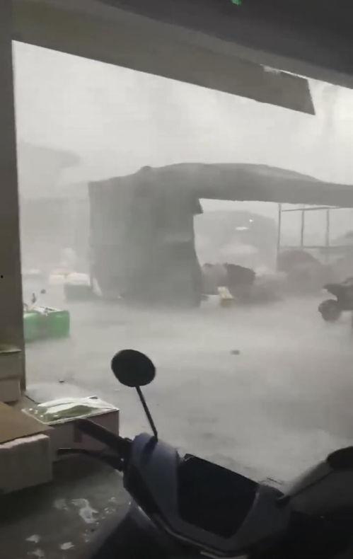 狂风暴雨的视频