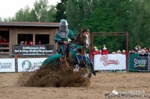 马术表演视频
