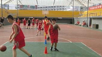 小学生打篮球视频,小学生篮球技能展示