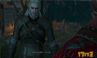 巫师视频,探寻神秘力量的奇幻之旅