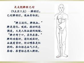 人体经络图解大全高清图片说明,探寻中医养生奥秘