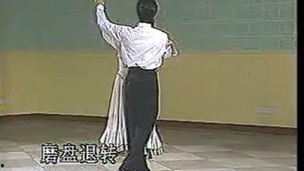 双人交谊舞慢三步教学视频,双人交谊舞的优雅演绎