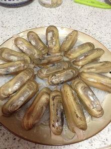 蛏子图片大全,蛏子图片大全赏析